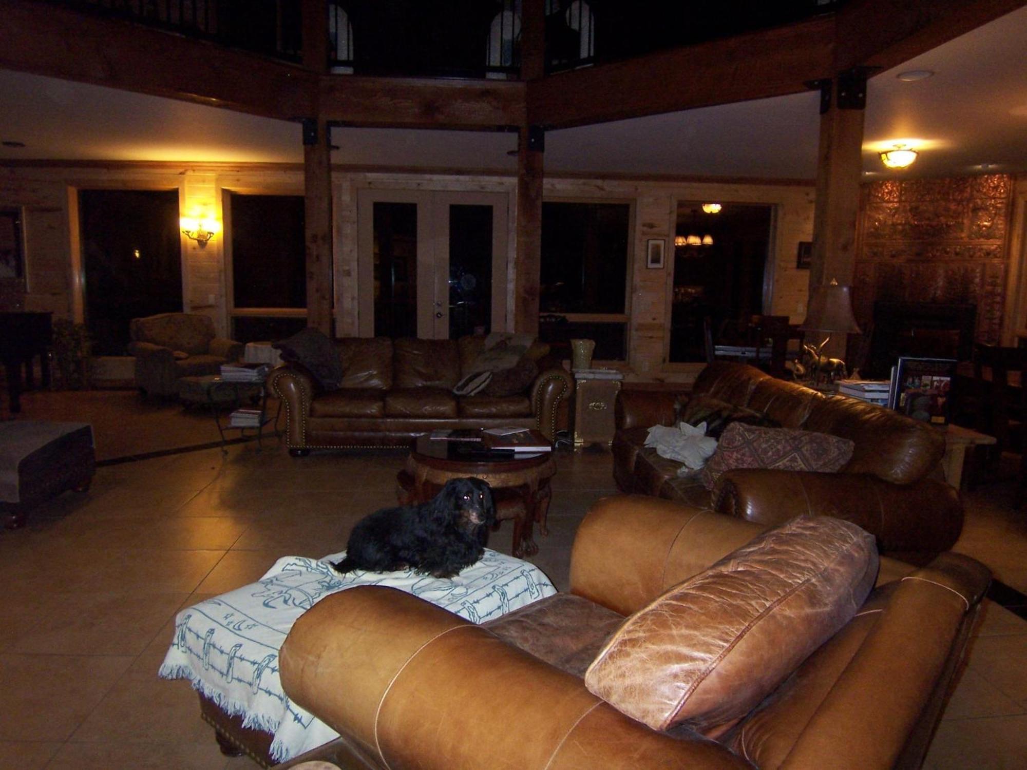 Elktrace Bed And Breakfast Pagosa Springs Exterior foto