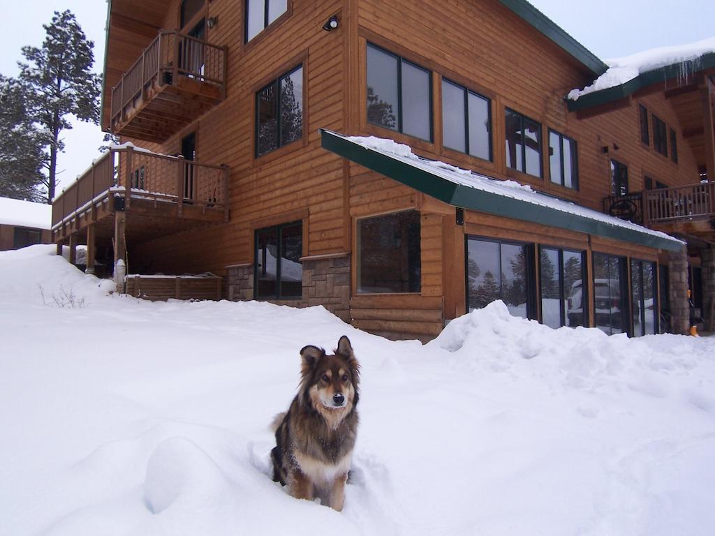 Elktrace Bed And Breakfast Pagosa Springs Exterior foto
