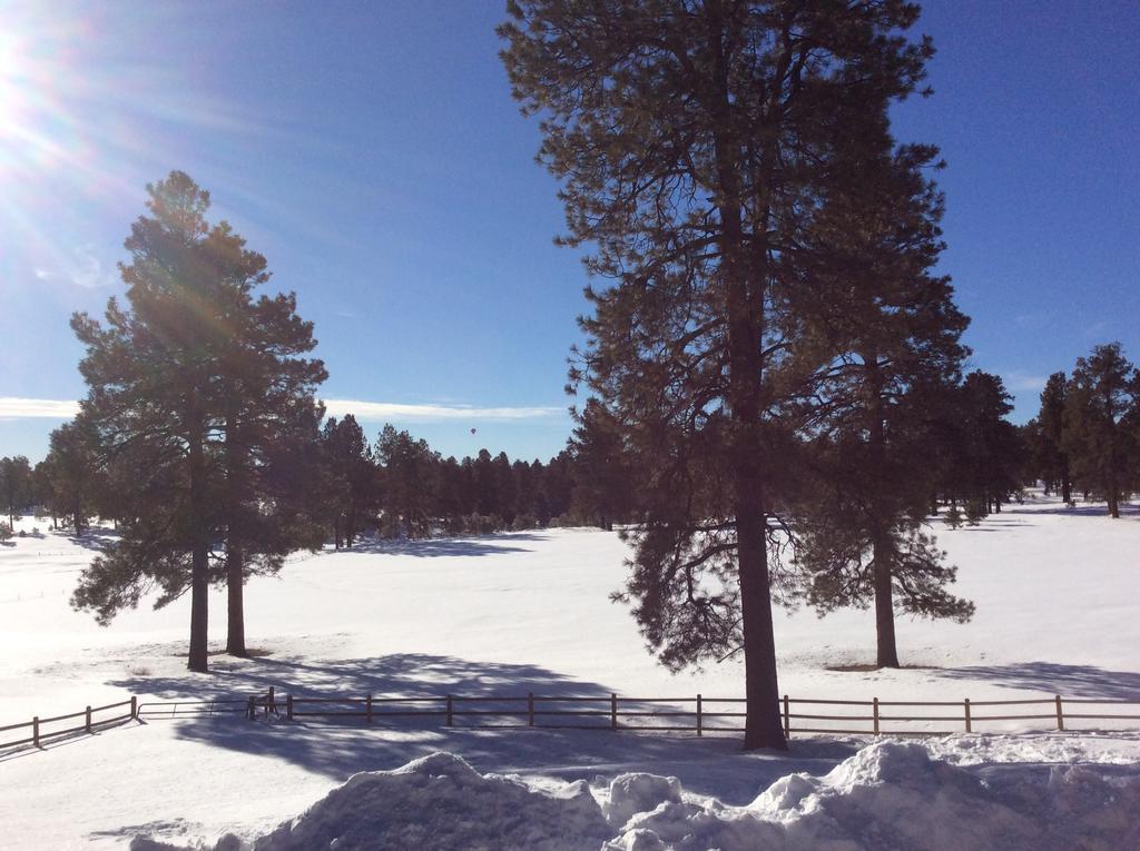 Elktrace Bed And Breakfast Pagosa Springs Exterior foto