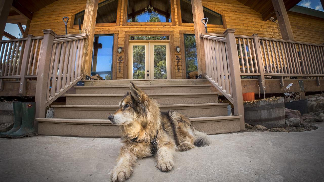 Elktrace Bed And Breakfast Pagosa Springs Exterior foto